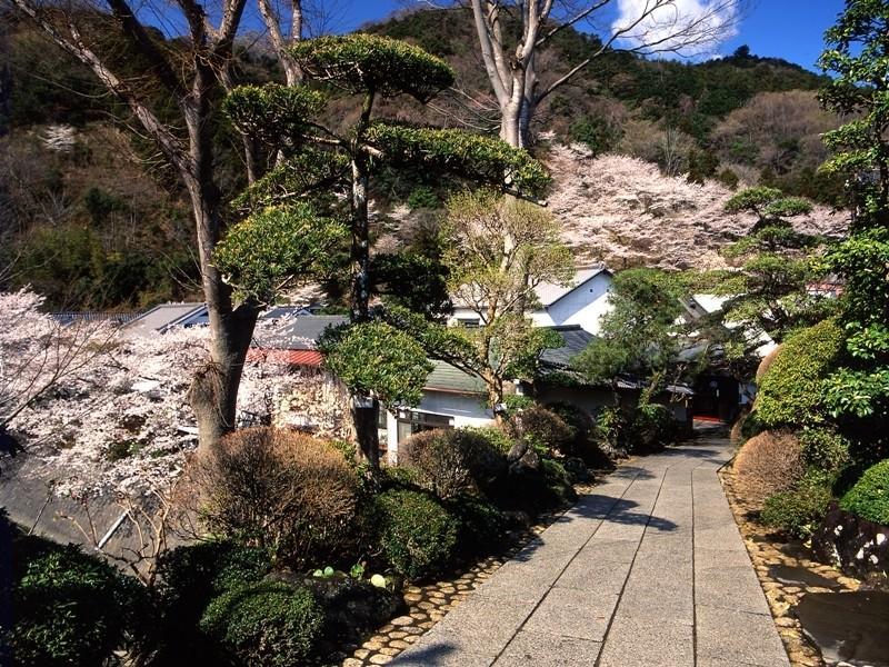 Motoyu Ryokan 아츠기 외부 사진
