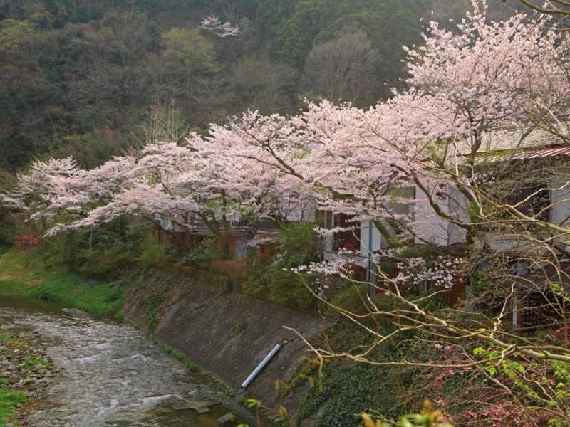 Motoyu Ryokan 아츠기 외부 사진