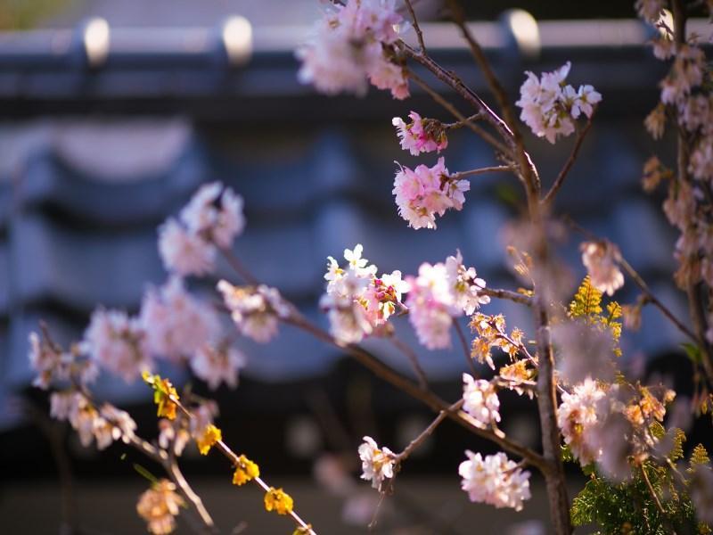 Motoyu Ryokan 아츠기 외부 사진